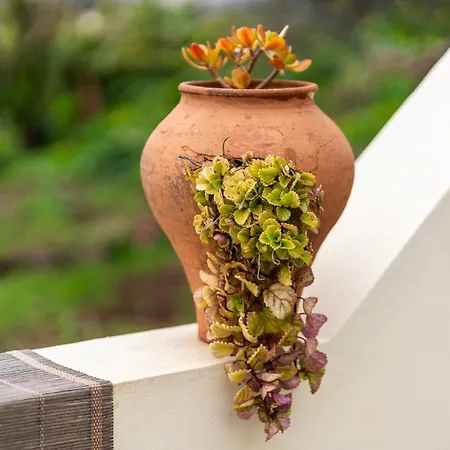 Guestready - Cosy Retreat Appartamento Funchal (Madeira)